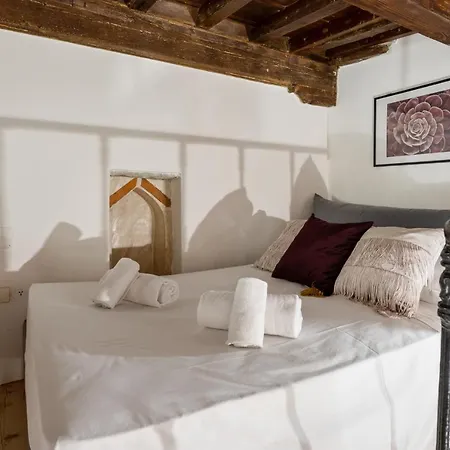 Apartment Palazzo Pitti With Terrace Florence